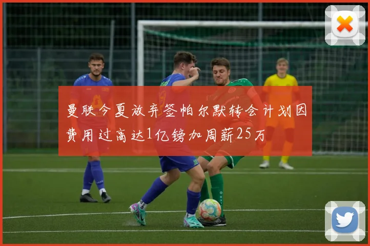 曼联今夏放弃签帕尔默转会计划因费用过高达1亿镑加周薪25万