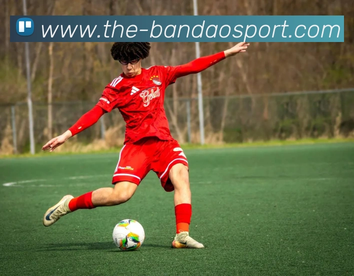 半岛体育APP 高清赛事图