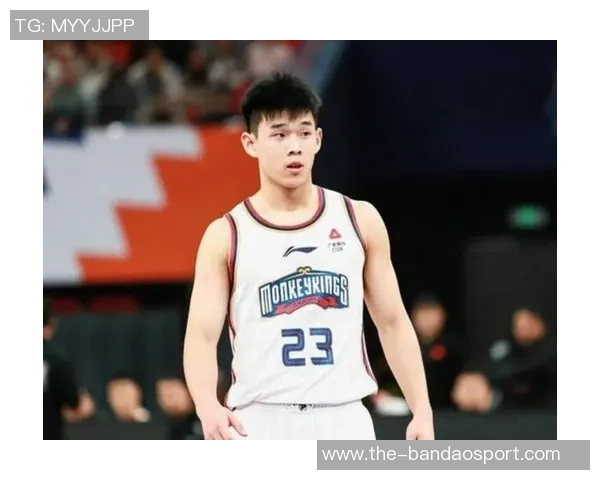 媒体人点评林葳表现：手感与选择待改进防守与组织能力显著提升